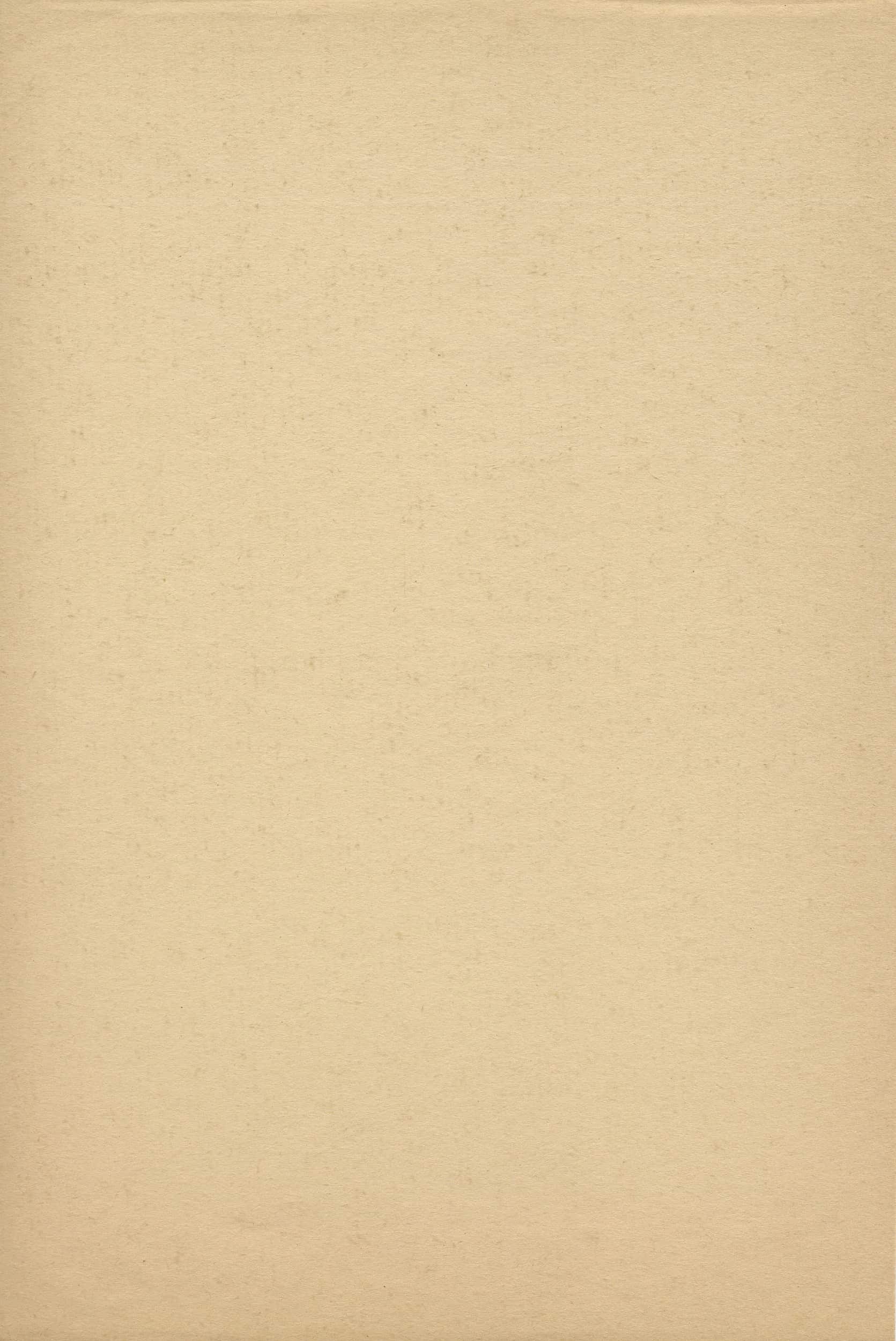 Experience Card Background