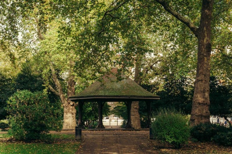 A small wooden gazebo with a sloped roof, known as The Webster, stands among tall trees and greenery in a peaceful park setting on a sunny day.